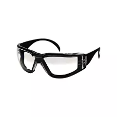 Dentec CeeTec™ DX Safety Glasses