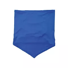 Ergodyne Chill-Its 6483 Cooling Neck Gaiter Bandana with Pocket
