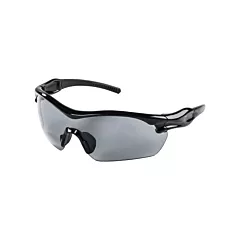 Sellstrom Lunettes de sécurité XP420, Fumée, Antibuée/anti-égratignures (S72101)