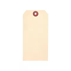 Accuform Signs Manila Blank Tags