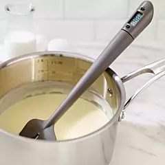 Ricardo Thermometer Spatula, -20 to 200 °C*