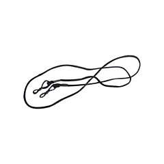 Dentec Cordon à lunettes de sécurité (12A6975)