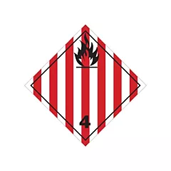 Brady Flammable Solids TDG Placard