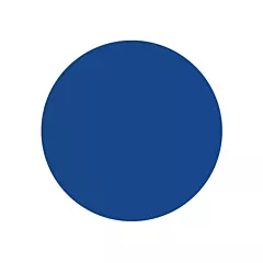 Brady Round Write-On Labels