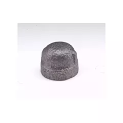 Dominion Cap (DBMG108-F)