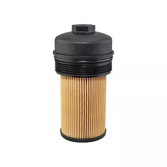 Baldwin Filters Lube Filter Element with Lid (P7436)