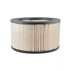 Baldwin Filters Air Compressor Element (PA1916)