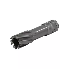 Walter Surface Technologies Universal Shank Annular Cutter