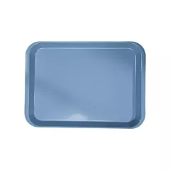 B-Lok Instrument Flat Tray, Plastic, Ritter Size, 13.5
