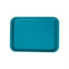 B-Lok Instrument Flat Tray, Plastic, Ritter Size, 13-3/8