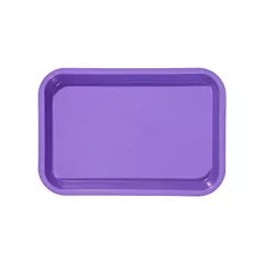 B-Lok Instrument Flat Tray, Plastic, Ritter Size, 13-3/8