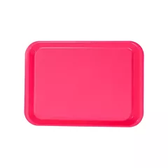 B-Lok Instrument Flat Tray, Plastic, Ritter Size, 13-3/8