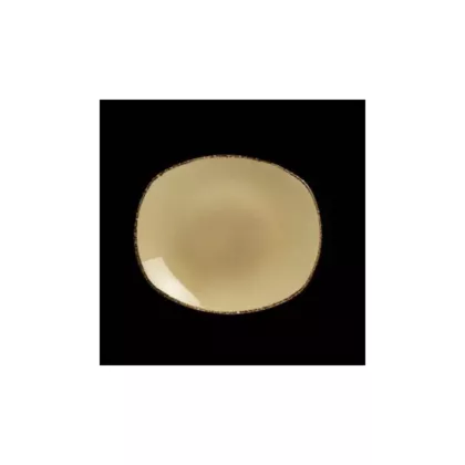 Steelite Terramesa 10