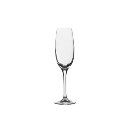 Steelite Edition Champagne Glass, 5 oz 2DZ - 4807R235 066/48