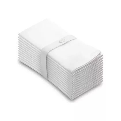 Harmony X™ Commercial Napkins 20