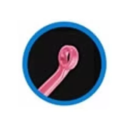 Bionix Disposable Safe Ear Curette Red AngleLoop 50/box (VMBNX-3444)