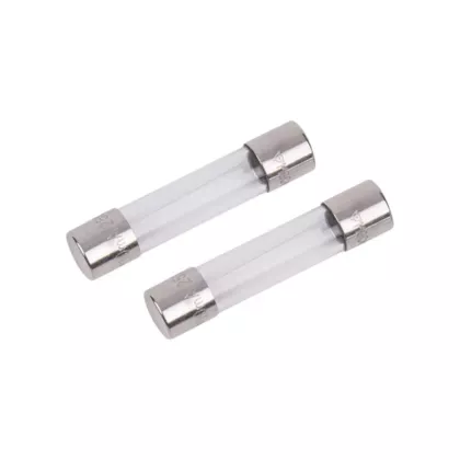 Reed Instruments Test Lead Replacement Fuses (R1020-FUSE)