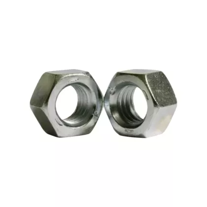 Hex Nut