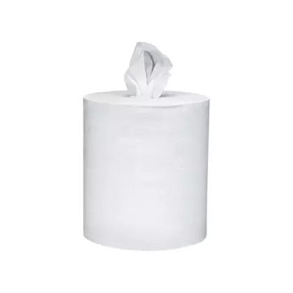 Kimberly-Clark Scott® Essential Paper Towels, 625', 2 Ply, Centre Pull (1010)