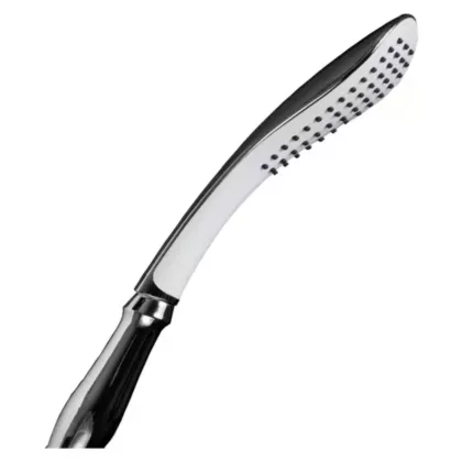 Poignée de Douche Ajustable